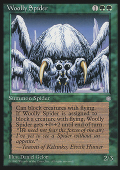 Woolly Spider